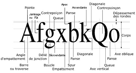 vocabulaire-typographie